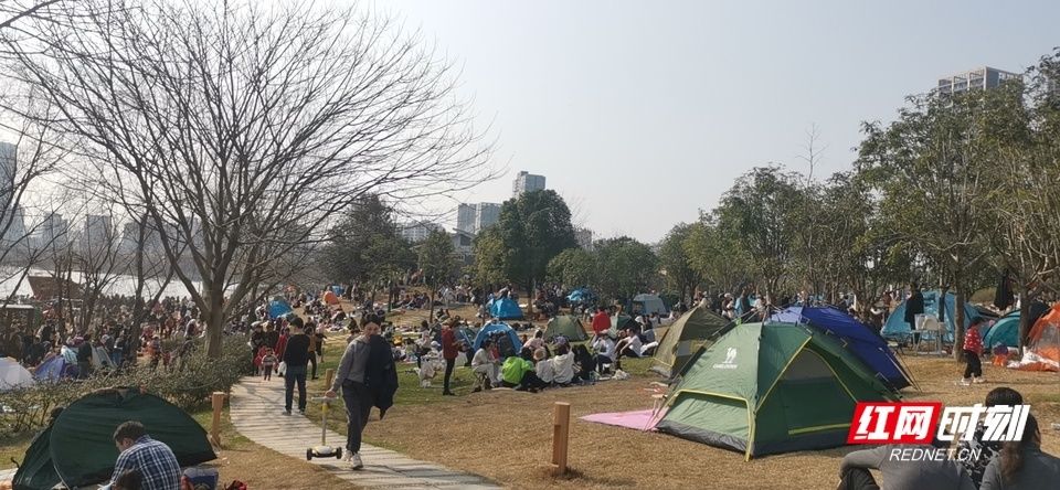 湖南人|壮观！太阳一出来，草地上就“长”满了快发霉的湖南人