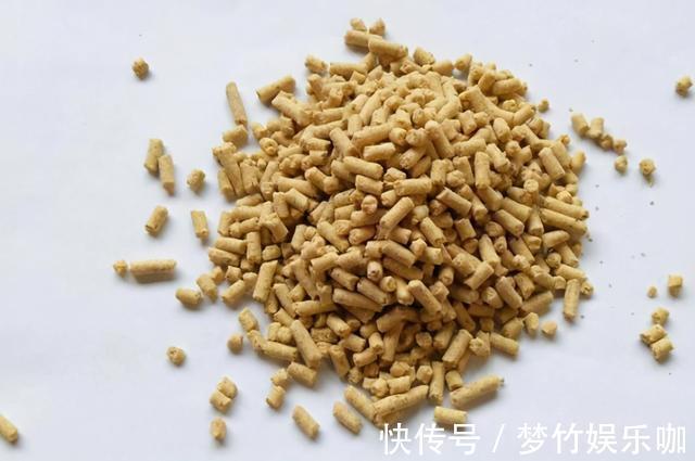 玉米糁|天一冷,老钓手就喜欢用这鲫鱼饵,难怪隔三差五就想钓,心服口服