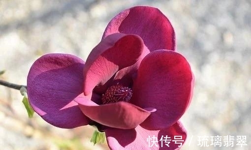 红娘|下周,红娘搭线,收入大涨,反反复复,寻到真爱,幸福一生