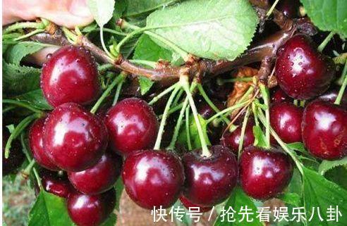 排毒|女性到了中年,常吃3种食物,滋阴润肺,排毒清肠,美容肌肤