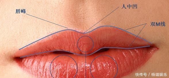 口红|还在随随便便的涂口红美容师教你这样涂,一整天都不粘杯不掉色