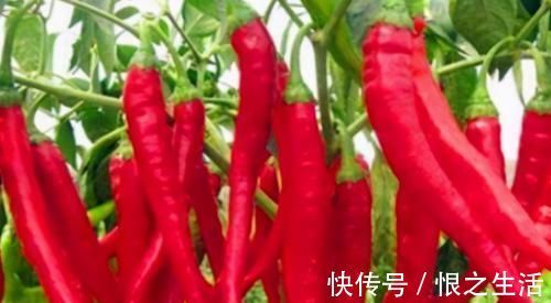 健康|养肝就是养命，3种食物要常吃，肝脏干净了，身体越来越健康！