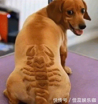 |「搞笑GIF」这是什么情况,知道现在的男孩子为什么不找女生玩了