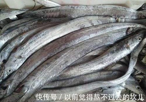 肉质|买带鱼时,别光看大小,学会3买3不买,轻松挑到优质好带鱼