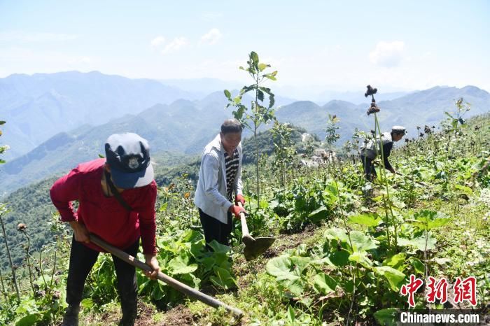 见证|两首歌见证巴山大峡谷之变 土家人走上“幸福路”