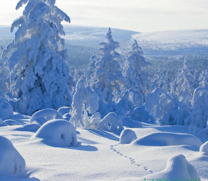  它独特|北方是冰雪的家园，亦是我的情怀，我的情结