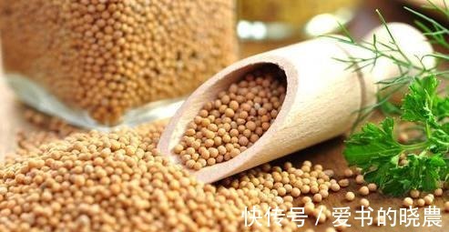 豆类|三伏天出汗多要补钾,这两种豆类钾含量名列前茅,可以多吃!