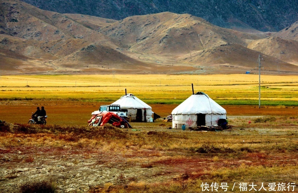 草原|自驾游新疆，探访驯鹰人：天山草原上的好猎手是怎样炼成的？