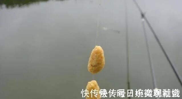 鱼口|别再相信蚯蚓是万能饵了，夏天这样用饵，渔获少不了