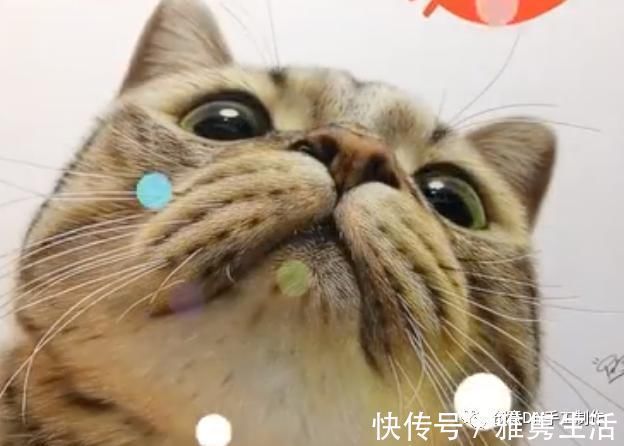 音海#超拟真动物画,每根毛发都这么细致,网友惊呼真假分不清