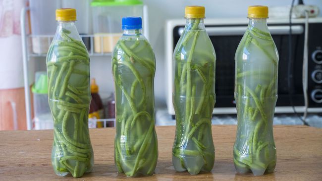 毛豆|夏吃豆,胜吃肉!适合夏天吃的6种豆子,解暑清热又低脂,别错过