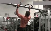 肱骨|为什么健身高手的背部厚又宽,因为都懂了这些技巧!