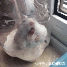 |爆笑段子昨晚家里进了一女贼,因为光线太暗,没看太清