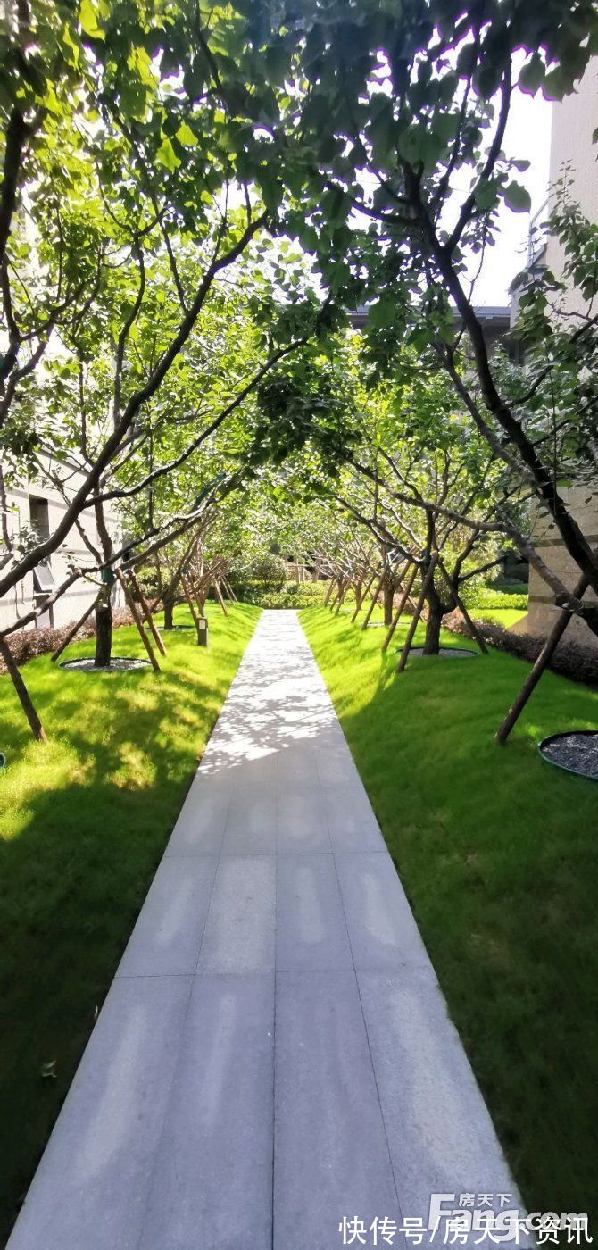 楼盘|郑州高新热门楼盘项目现场传来一批新照片，请查收