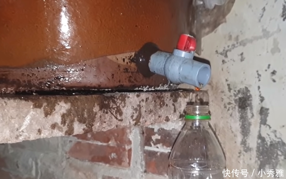 一家人|大婶把鱼扔进缸里,不杀也不洗,2个月后开缸一家人都吃“嗨”了