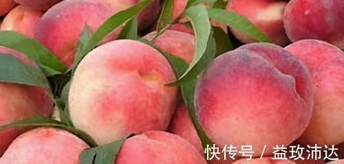 营养物质|人到中年想长寿,以下食物要多吃,清热解毒,凉血止血,早吃早好