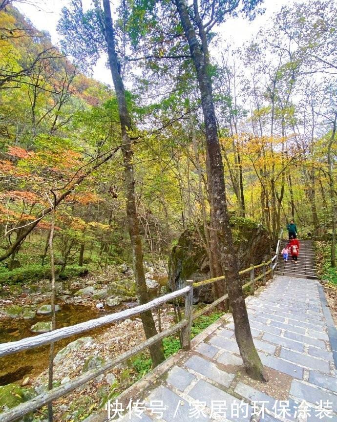 秋天|抓住秋天的尾巴，发现更美的秦岭