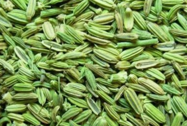 调理|老是失眠怎么办此物放在枕边不仅有助睡眠，还能调理身体