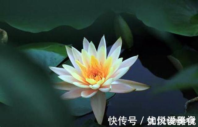 大昭寺@一位老僧的告诫,你经常说的话,就是你的人生预言,要慎重