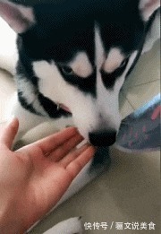 |搞笑GIF:为什么看到他摔倒,心里会莫名地舒爽呢