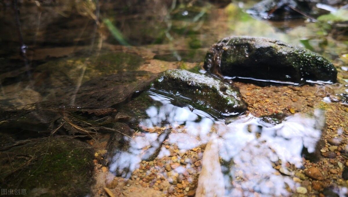 螃蟹|女驴友野外生吃溪蟹感染肺吸虫，腹泻21天后住院，又被查出艾滋病