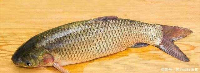 酸菜鱼要这样做,才鲜嫩,女士吃了美容美发