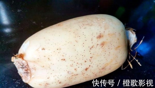 藕养人,西红柿炒蛋养藕又能做出什么好味道呢?