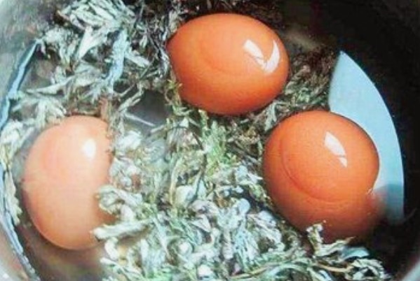 艾叶|女人每天一个艾叶煮鸡蛋,给你带来4个好处,很多人都不会用