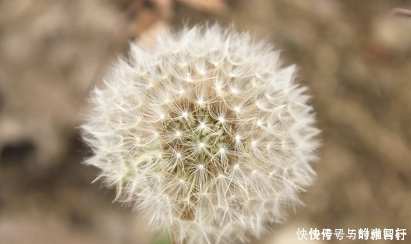 医生|哪些食物软坚散结?医生提醒:体内长结节的人,记住别吃错了