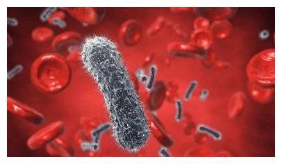 好处|洋葱好处多多，但尽量不要和它们一起炒，或许会对身体有影响