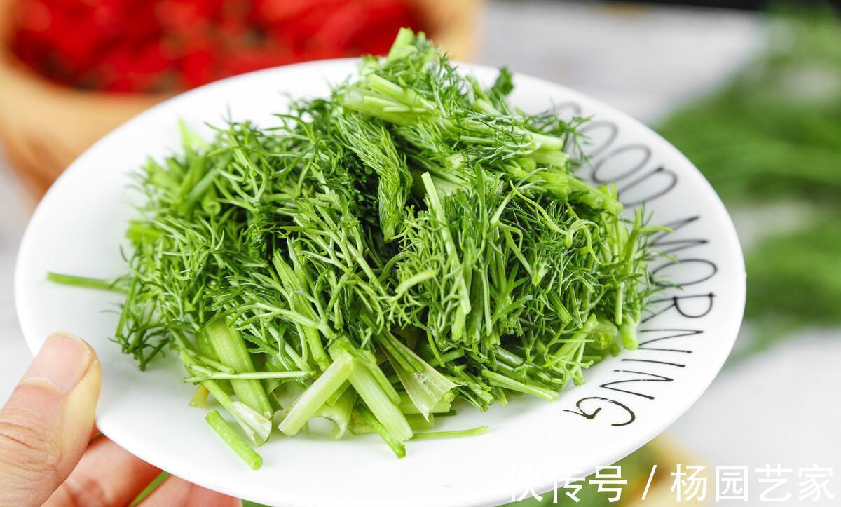 土茴香|农村这种植物,会散发令人刺鼻的气味,殊不知它全身都是宝