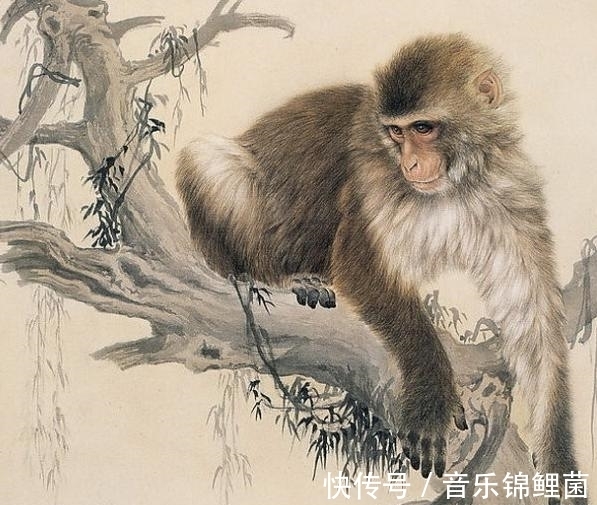 生肖|7月底,苦日子无影无踪,3生肖兜里有钱,吃香喝辣,无忧无虑