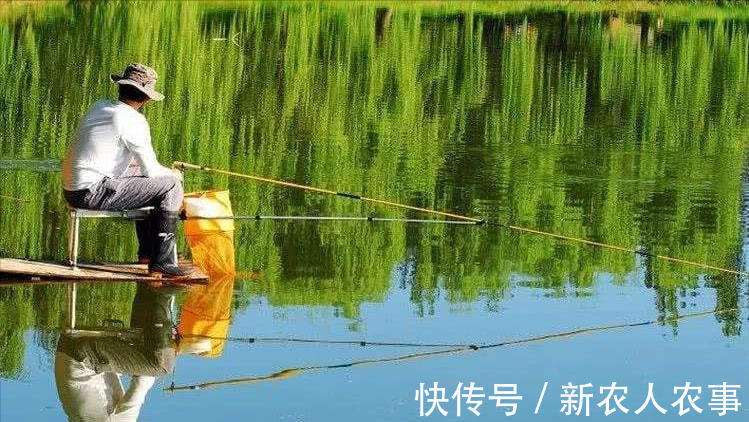 垂钓高光时刻，湖北男子野钓收获巨型鲶鱼，直接躺在地上当参照物