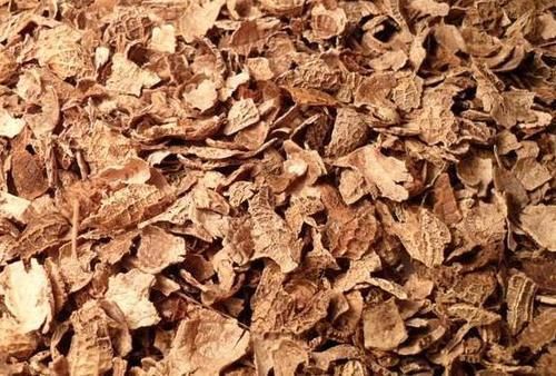 这些垃圾废料拿来养花,你以为是“青铜”,结果全是“王者”