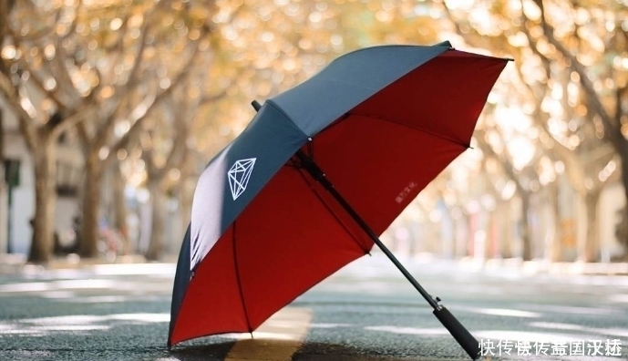 公司|曾坐拥30万员工,后将公司卖给马云,今靠雨伞再登富豪榜