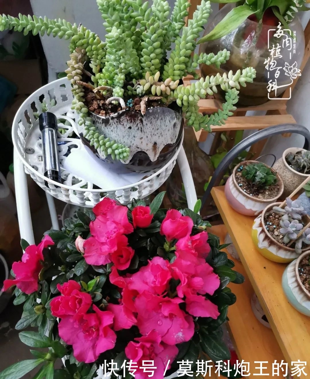 回顾令人难忘的2020年!2021,我定不负美肉不负众望!