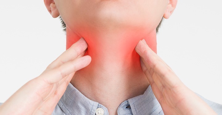 清洁工|“中药抗生素”的鱼腥草不仅营养价值高,还有肺部清洁工的称号!