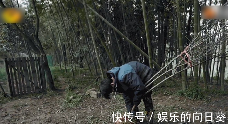 脾氣|《向往5》最懶嘉賓又來了,在節目種樹種到“吐”,脾氣都上來了