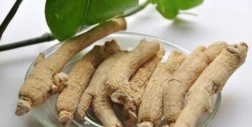 营养物质|亲民的滋补野菜,比人参便宜很多,营养价值却超高,15一斤疯抢