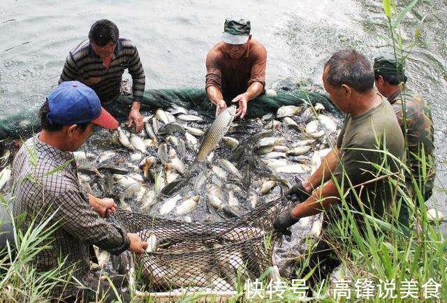 鱼肉|请停止吃这4种鱼,可能含有甲醛与重金属,建议转给家里人看看