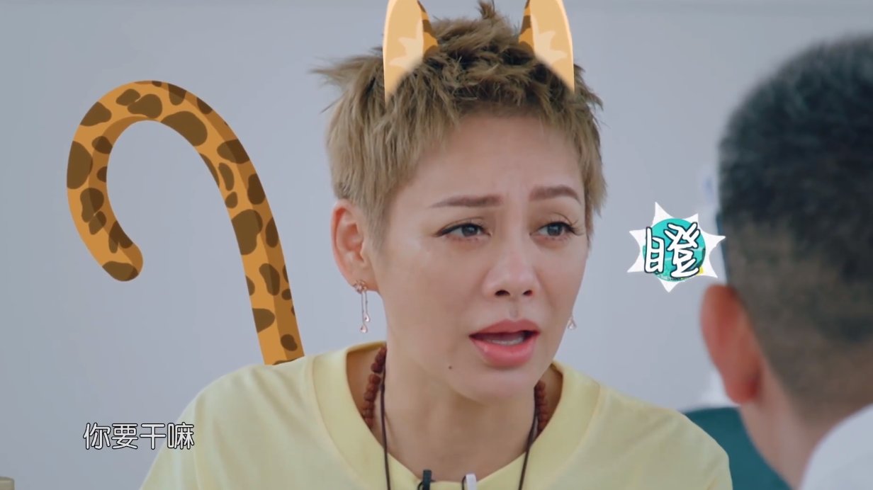 黄晓明|中餐厅官微被指责“引战”,黄晓明和宁静日常斗嘴,粉丝打抱不平