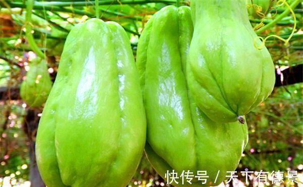 调理|女性过了40岁，推荐3种食物，调理肠胃，排毒消脂，增强抵抗力