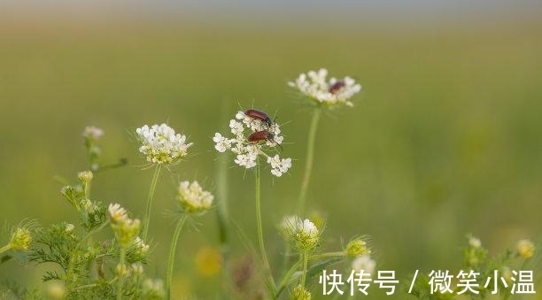 有些人|往后9天，深情如海，依恋是你，月老助攻，重燃爱火，重温甜蜜