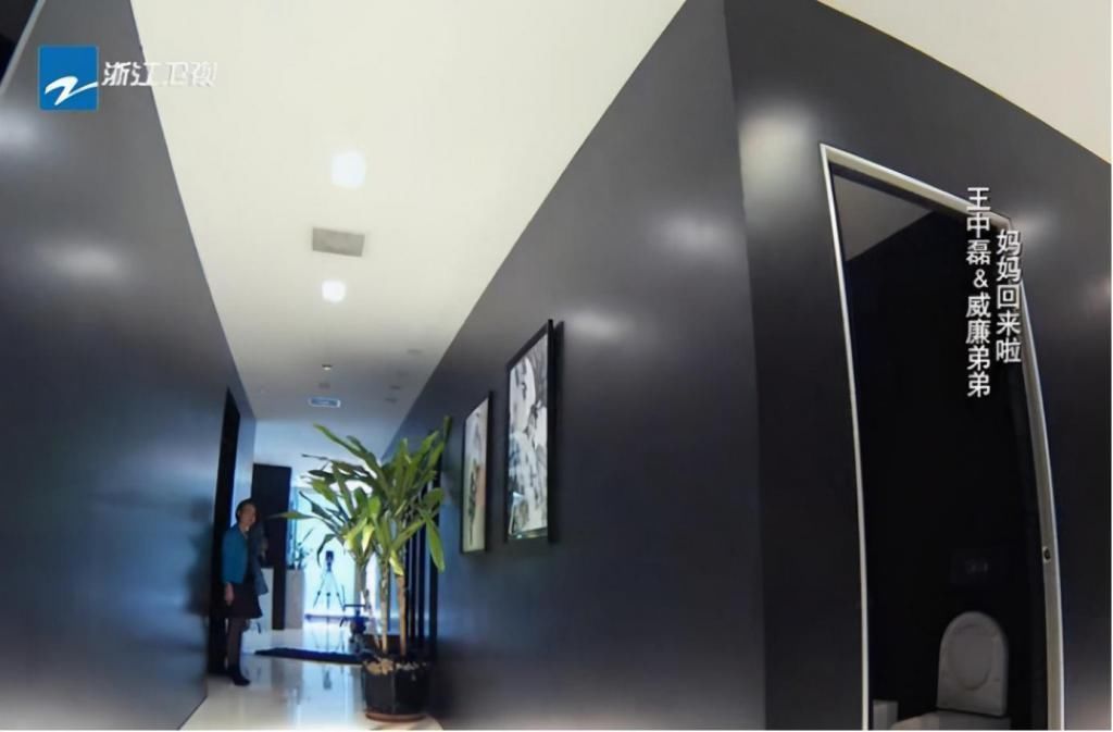 电梯|华谊总裁王中磊家,电梯入门,一进门就是金钱的“味道”