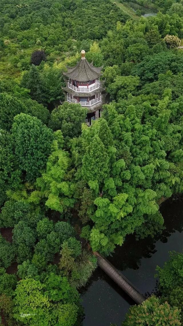 绿叶儿|驾游皖浙一号旅游风景道，共度夏日乐悠悠!