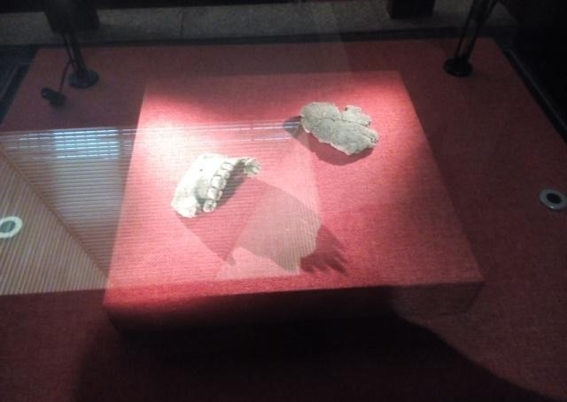 南越国|实拍南越王博物馆文物:历史上最早皇帝金印,叹为观止的丝缕玉衣