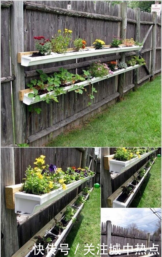 不在院子地上种菜,墙上面积这么大,上下3层种蔬菜再合适不过了!