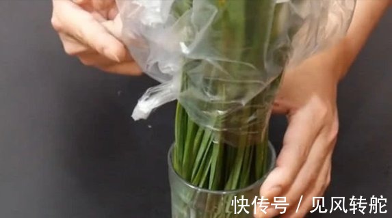 韭菜保鲜建议别放冰箱，教你2种韭菜保鲜方法，韭菜不烂根不黄叶