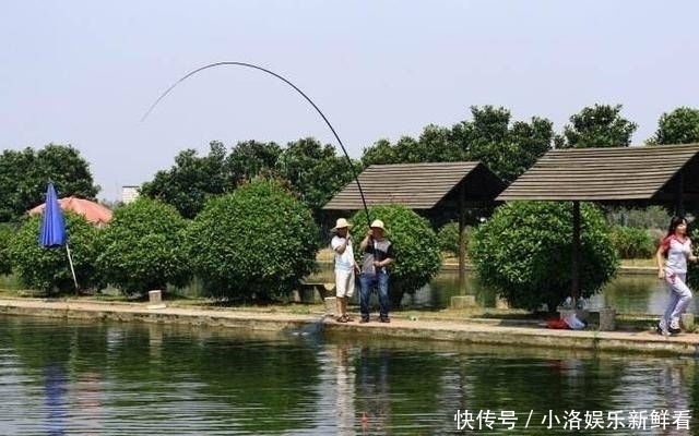 办法|不管你信不信,这些发生在钓鱼人身上的事情,总是没办法解释