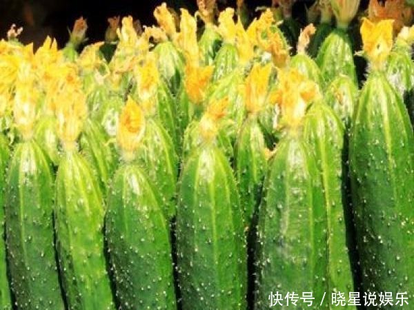 提个醒凉拌黄瓜时不可放此物,吃了就是没病找病,还有人不清楚